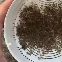 お客様の使用イメージ
